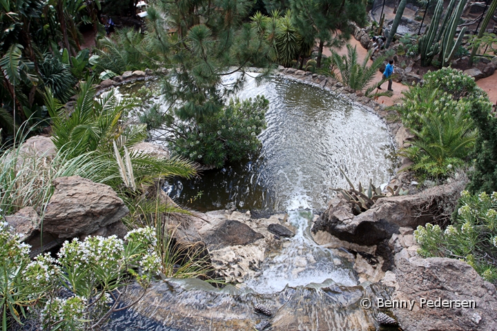 Palmitos Park.jpg - Palmitos Park